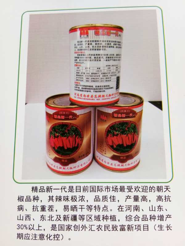 精品新一代