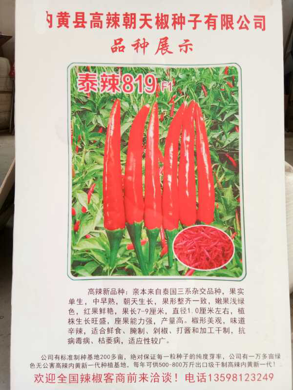 泰辣819 F1